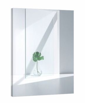 Minimalist Monstera Leaf in Vase Against Glass Panel with Soft Light and Shadow Play in Bright White Studio