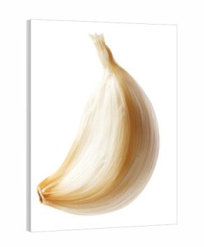 garlic clove isolated on white background