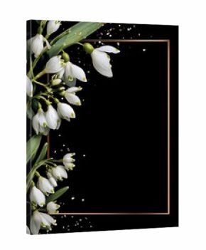 Snowdrops and gold frame on a black background with glitter accents creating an elegant design element