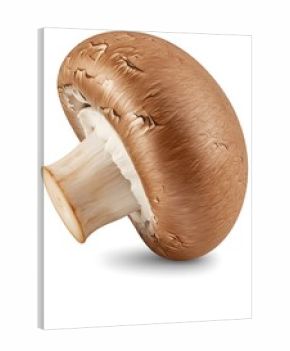 Earthy Umber: Lit Still Life