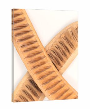 Suche strąki roślin, martwa natura, tapeta, dekoracja. 