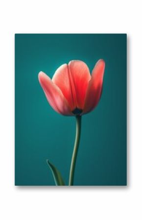 A single pink tulip stands against a contrasting green background, highlighting its vibrant color and delicate petals.