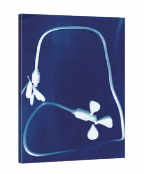  Conceptual cyanotype of everyday objects 