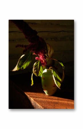 A vibrant bouquet of purple flowers in vase illuminated by sunlight