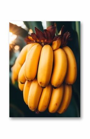 Golden Bananas: A Sunlit Harvest, Vibrant and Lush