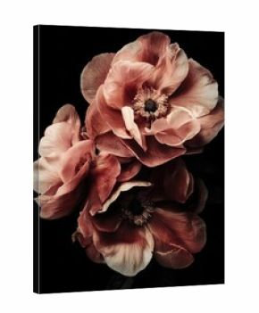 Dramatic Dark Floral Renaissance Still Life Luxury Bouquet with Moody Lighting and Vintage Aesthetic