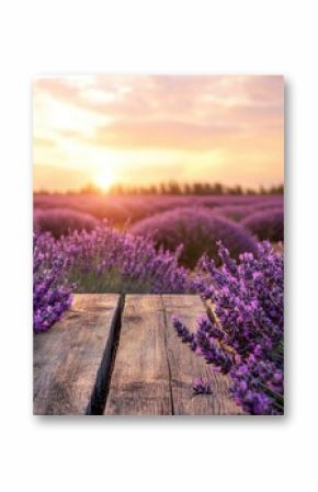 A still life image of a field of purple flowers sitting on a wooden table