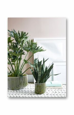  room plants pots still life books picture