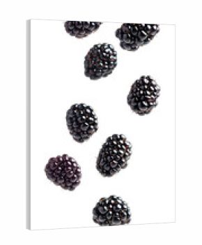 Scattered blackberries isolated flying view white or transparent background.
