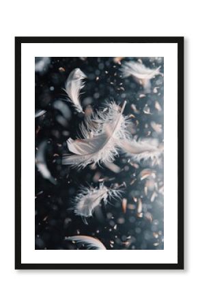 White feathers floating in the air, ideal for dreamy and delicate concepts