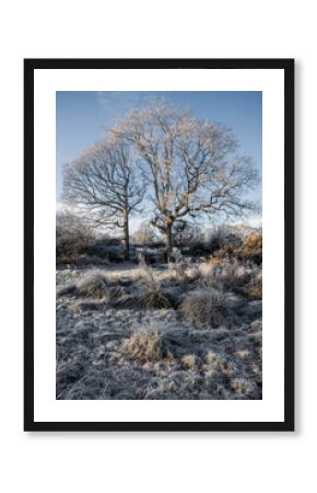 English countryside meadow in the winter