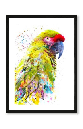 Malowanie. Zdjęcie podwójnej ekspozycji tropikalnej papugi połączone z kolorowym, ręcznie rysowanym obrazem