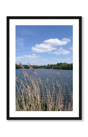 Schultheisweiher bei Offenbach