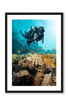 Scuba Diver Swimming in Deep Sea with Sunrays and Beautiful Coral Reef with Colorful Fishes