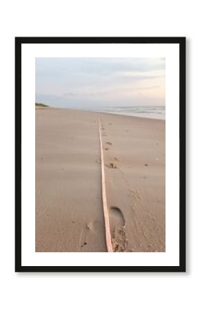 Pink Line on Sandy Beach at Sunrise