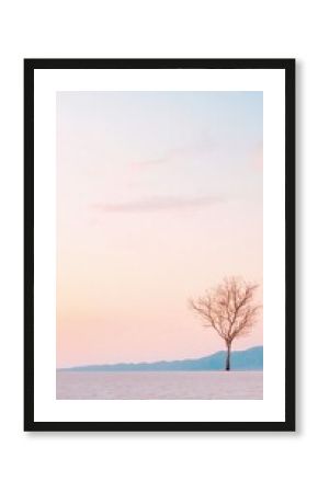 Solitary Tree at Pastel Sunset Over Flat Landscape