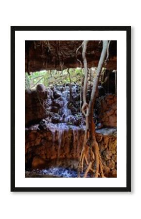 waterfall in the forest
