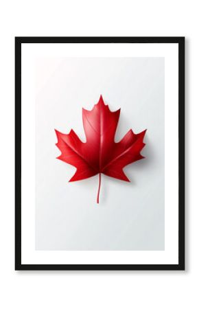 This illustration portrays a glossy red maple leaf on a gradient white background. Contrast shadows and Canada Day typography create a stylish poster. Style: poster design