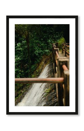 A narrow bridge runs alongside a cascading stream deep in El Yunque National Forest, Puerto Rico