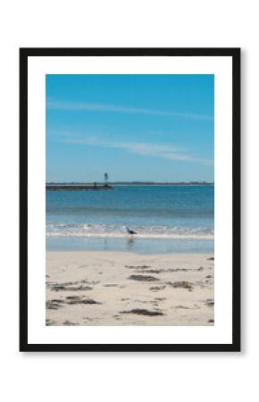 beach and sea