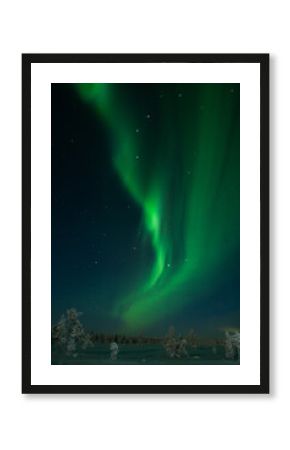 Aurora borealis Northern Lights fully covered the sky. Lapland amazing scenery