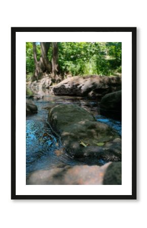 Sun-dappled rocks in a clear stream lead to lush green trees under a bright blue sky.