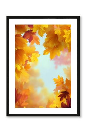 autumn leaves on the sky background
