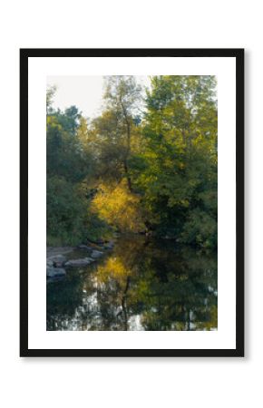 Sunlit Tree Reflections in Tranquil River