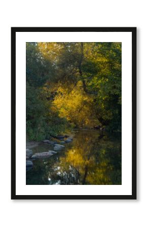 Golden Autumn Light Over Forest Stream
