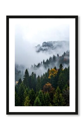 Misty mountain forest landscape