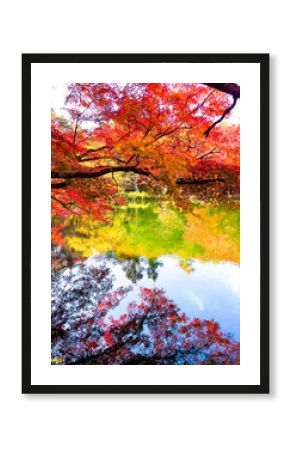 水面に映る軽井沢・雲場池の紅葉｜Autumn Reflection at Kumoba Pond, Karuizawa