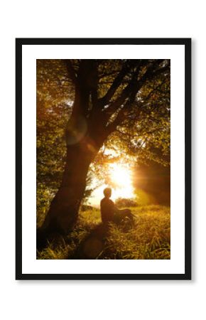 Man sitting on a meadow under a tree and enjoying nature with the low sun shining bright and warm behind him