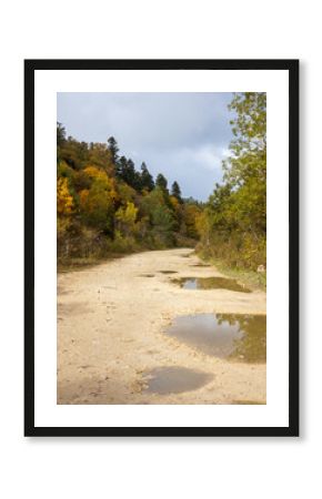 Autumn road in a wooded area, light fog and cloudy weather,nature walks