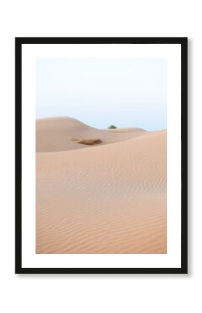 Sand dunes in the desert at sunset. Ripples on the yellow sand.
