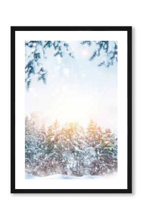 Merry Christmas and happy New Year. Snowy winter landscape. frozen fir trees