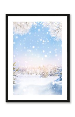 Frost on the trees. Festive Christmas card with snow covered trees. Snow in the winter forest.