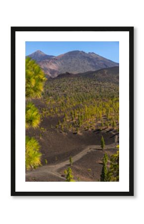 Trail below Teide and Pico Viejo