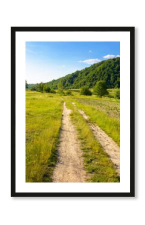 dirt road through field in mountains. beautiful rural landscape of ukraine in summer. scenic view of a countryside green environment under blue sky with clouds in evening light. forest on the hill