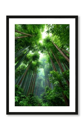 Tall bamboo forest creating natural serenity and growth