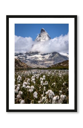 View of the Matterhorn by Riffelsee with Cotton Grass in the Foreground - Zermatt, Switzerland