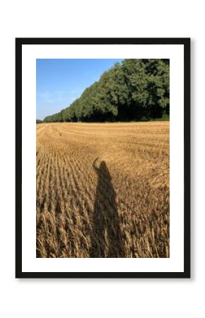 Schatten Frau winkt am Stoppelfeld am Waldrand