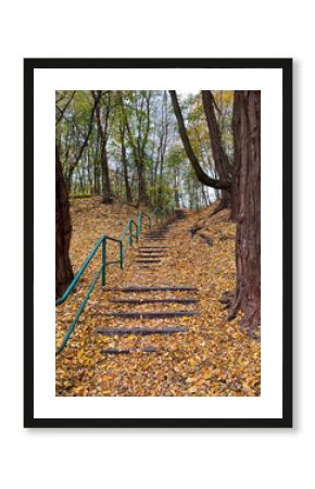 Staircase leading up into the forest covered with fallen leaves, late autumn.