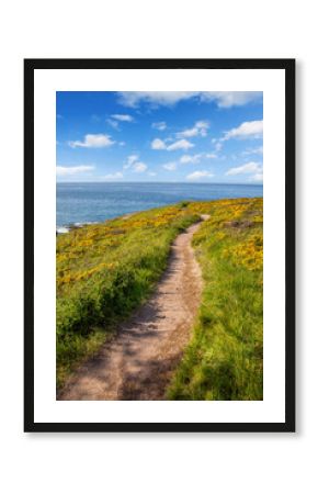 Sentier côtier sur les côtes bretonne en Bretagne, France.