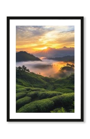 A misty sunrise over the tea garden, with sun rays piercing through the fog and illuminating vibrant green leaves on the mountainside, creating an ethereal atmosphere. The sky is painted in hues