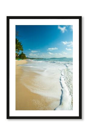 Morning sunrise on white sand sea beach wave tropical forest