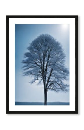 A single untouched tree amidst serene icy plains
