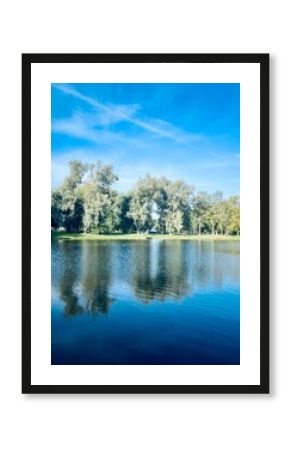 Trees reflection on the lake surface, blue lake in the park, summertime