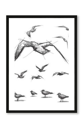 Sketchy birds