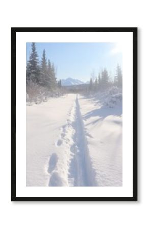 Snow Covered Path Through Winter Landscape