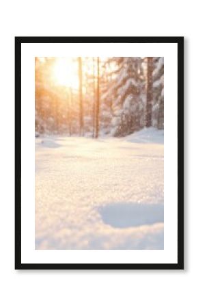 Sparkling Snow Covered Forest at Sunset